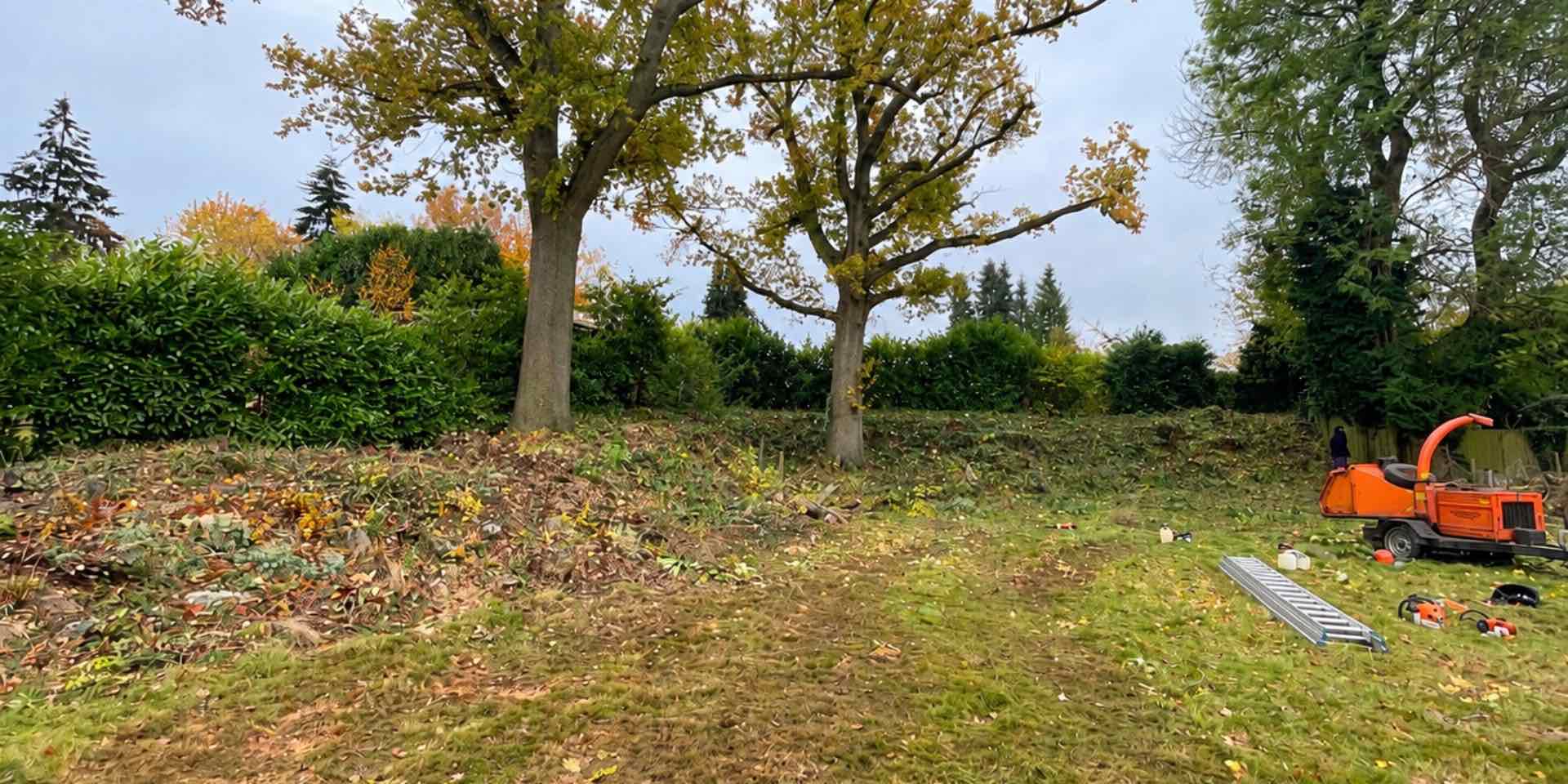 Large overgrown country garden before garden design renovation