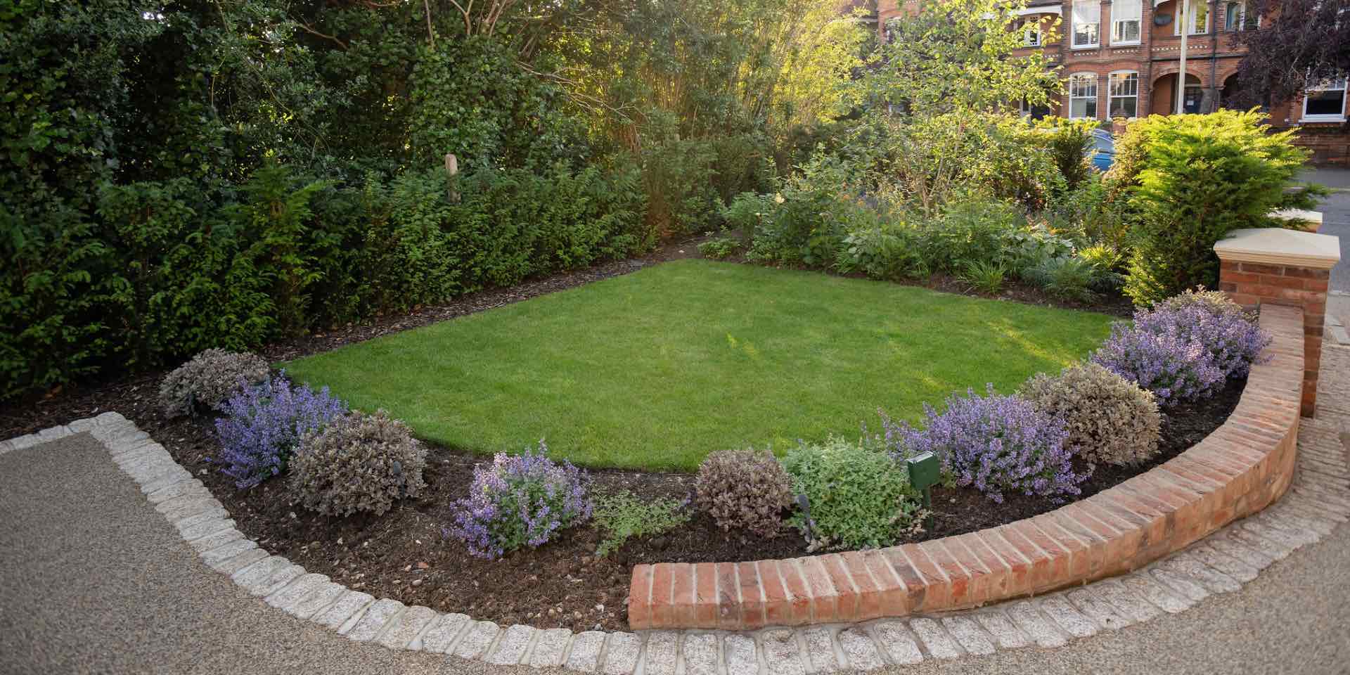 Large curving lawn edged with yellow tumbled granite setts, with Daltex cappuccino resin bound gravel and Pittosporum Tom Thumb balls with Nepeta and Yew hedging in the background