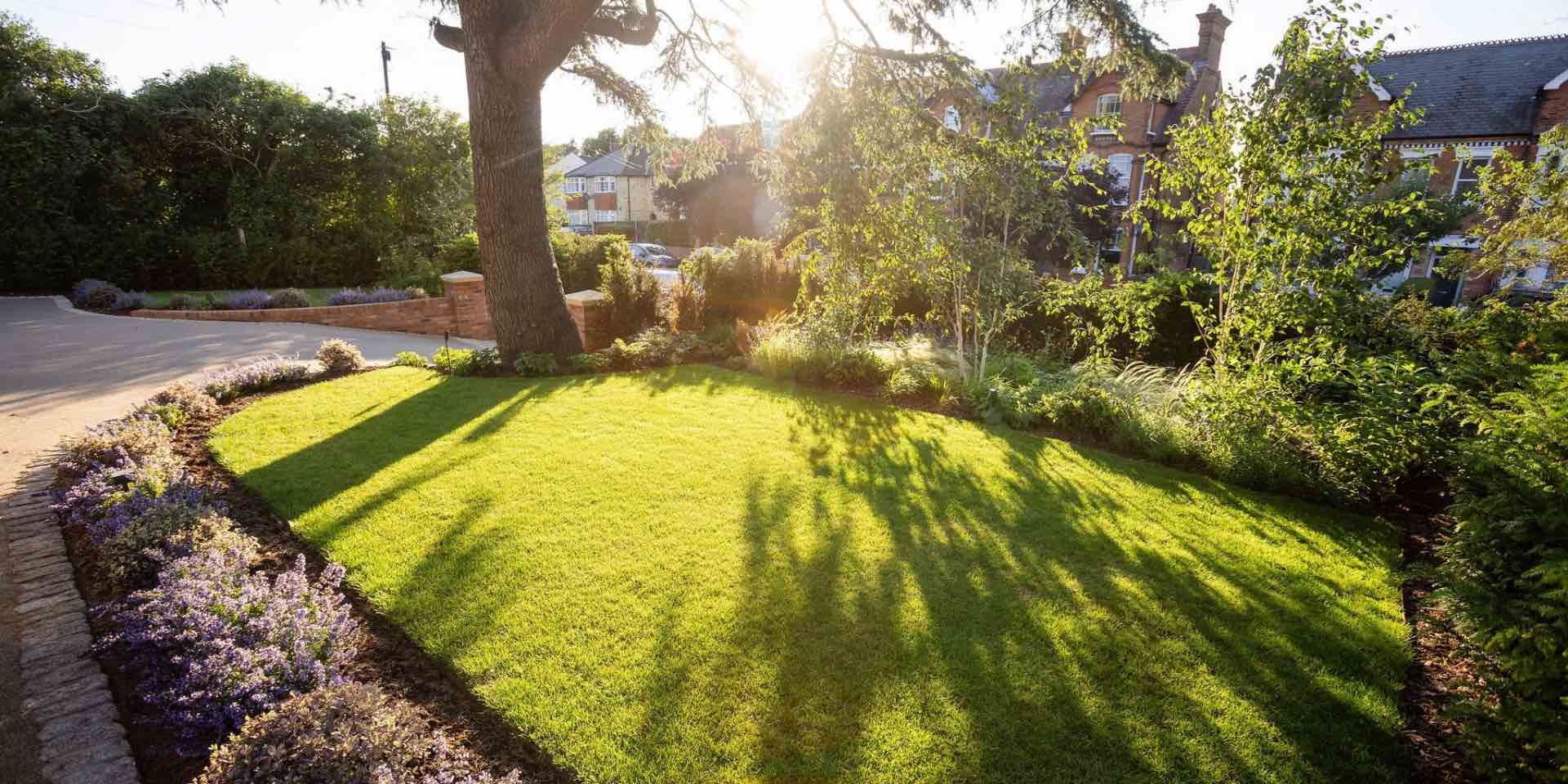 Large resin bound driveway in Hertford with red brick retaining wall and large areas of lawn and mature Cedar tree, colourful mixed planting